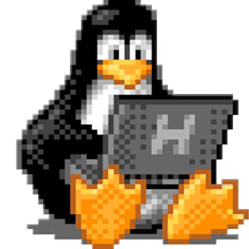 Coding Gif
